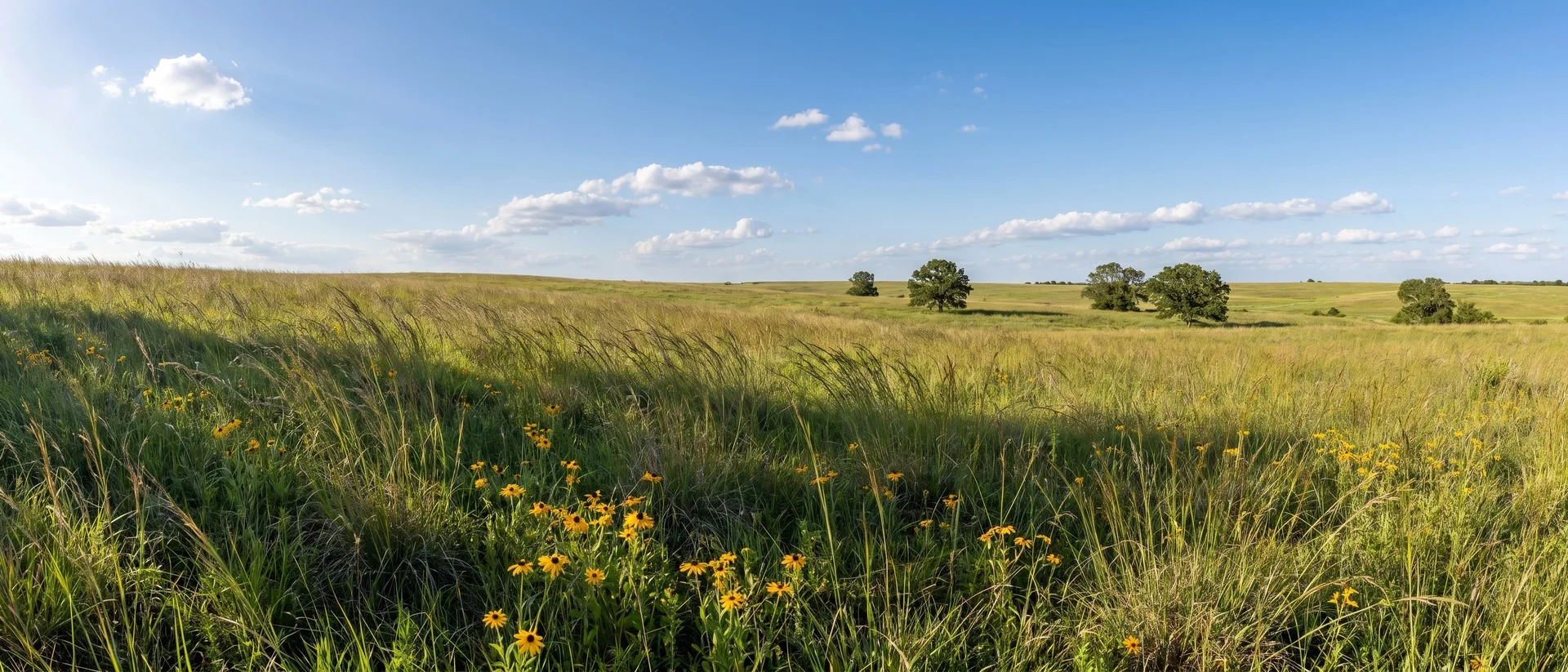 Wide Oklahoma prairie landscape — rolling tallgrass hills under a blue sky with scattered cumulus clouds, evoking the open, low-profile setting around the campus